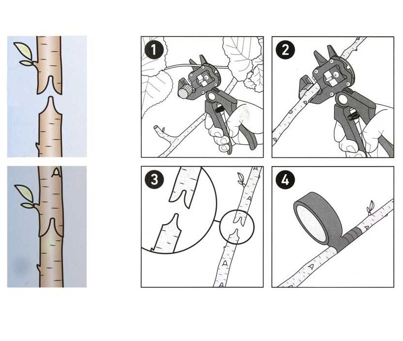 Zahradní nůžky pro roubování a ořezávání